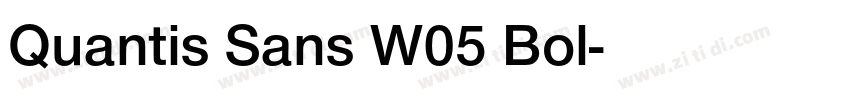 Quantis Sans W05 Bol字体转换